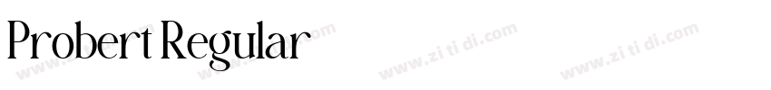 Probert Regular字体转换